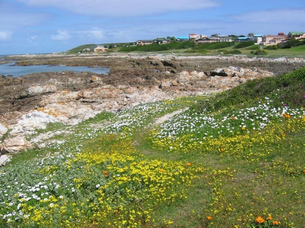 ホテル アイル デル マール ゲスト ハウス Kleinbaai エクステリア 写真